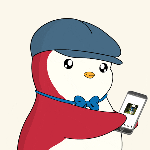 Social Media Cat GIF by Pudgy Penguins