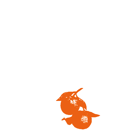 Orange Spritz Sticker by Chandon Garden