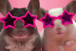 Dance Sue GIF