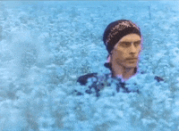 200w.gif?cid=6c09b952yrejjgeqniwnzhf7jrs