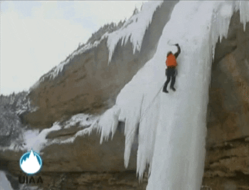 giphy.gif