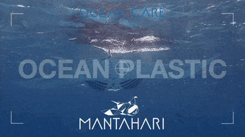 Recycle Pollution GIF by Mantahari Ocean Care