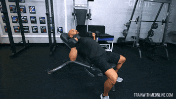 Chest Workout GIF