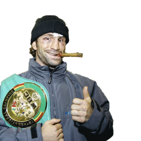 Tumme Upp Boxning Sticker by Paolo Roberto