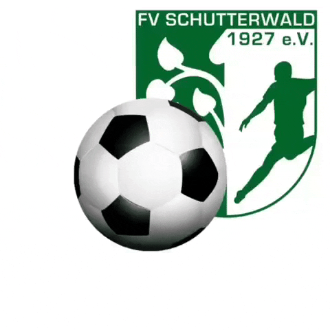 FV Schutterwald GIF