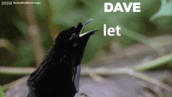 Lemme Smash GIF