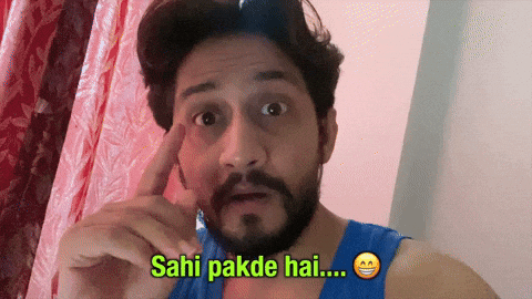 Sahi GIFs - Get the best GIF on GIPHY