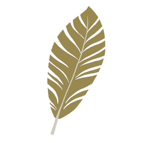 Sacred Vortex Sticker