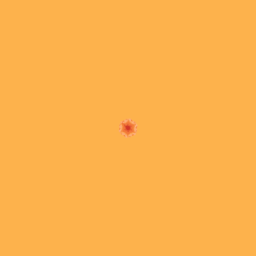 Miguel Andrade GIF