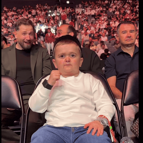 Front Row Ufc GIF by Hasbulla Magomedov