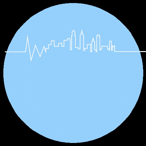 Project Shields GIF