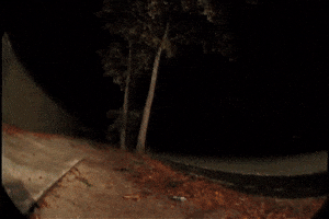 ignacioarenasrebolledo  GIF