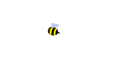 Bee Flying Sticker by Peter Steineck