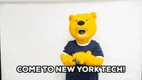 Happy Long Island GIF by New York Institute of Technology (NYIT)