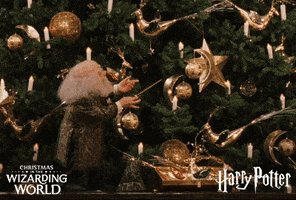 Decorating Merry Christmas GIF by Harry Potter