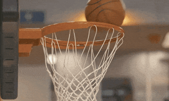 Basketball Swish GIF by Delaware Blue Hens