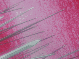 Revolutionary Girl Utena GIF