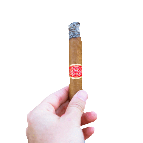 Romeo Y Julieta Smoking Sticker by Altadis USA