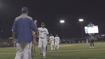 StPaulSaints baseball win saints bro hug GIF