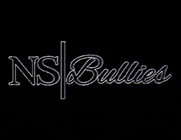 NS BULLIES GIF