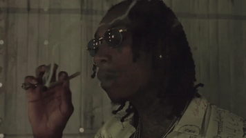 weed gin and drugs GIF by Wiz Khalifa