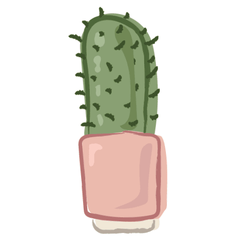 Masz jakiegos kaktusa w domu