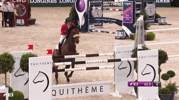 jumping team usa GIF by FEI Global