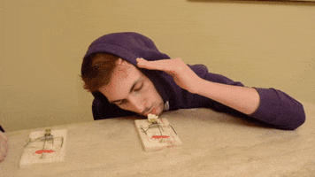 200.gif?cid=95b27944sqjviy0u7zyfq2bflvjy