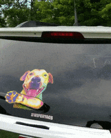 Rainbow Waving GIF by WiperTags Wiper Covers