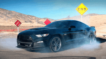 stage mustang GIF
