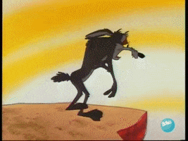 Wile E Coyote GIF