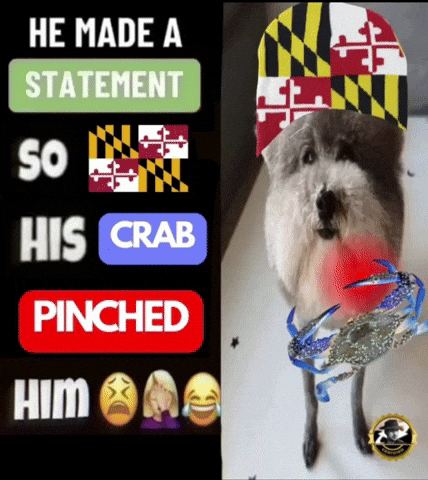 Maryland Instagram Gif GIF