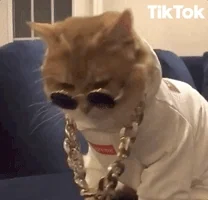 https://media0.giphy.com/media/hTUAmLDV3KdIAJYfA1/200.webp?cid=ecf05e47s8qiwwtz8c8ibn2hf76y71ys2xi2ses86xce9x1a&rid=200.webp