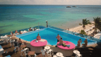 Playa Del Carmen Travel GIF by Caribe Mexicano