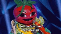 Who Am I Taco GIF by The Masked Singer