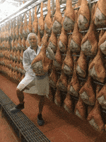 200.gif