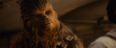 Chewie The Rise Of Skywalker GIF by Star Wars