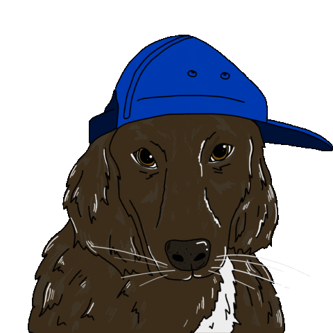 Good Boy Dog Sticker by ptrzykd