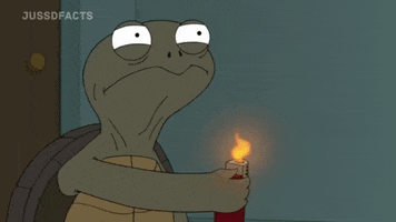 Angry Big Brother GIF