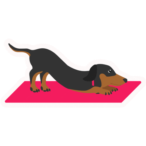 Sport Stretching Sticker by Vitality