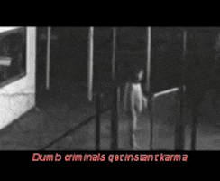 zlatkog dumb criminals get instant karma GIF