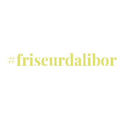 Friseur Dalibor Sticker