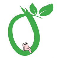 VASINIKO GIF
