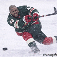 Minnesota Wild Hockey GIF