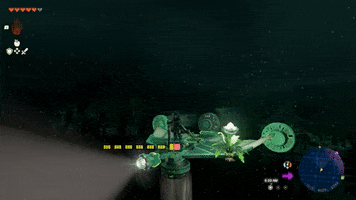 Zelda GIF