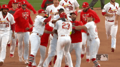 St Louis Cardinal Mob GIFs - Get the best GIF on GIPHY