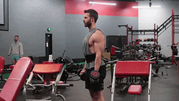 Zottman Curl GIF