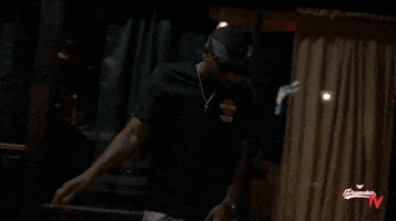 Fly GIF