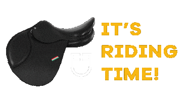 Riding Jumping Sticker by AmaHorse