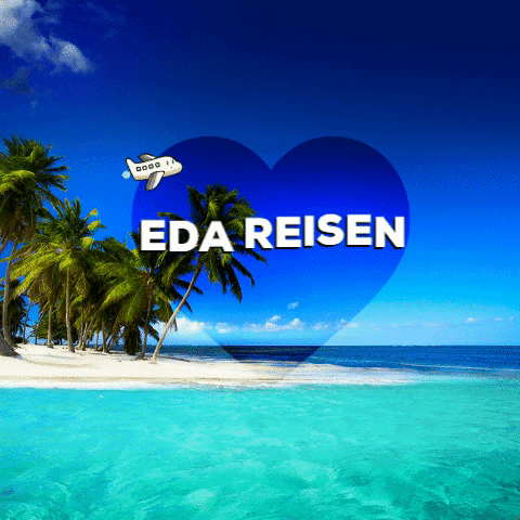 Eda Reisen GIF